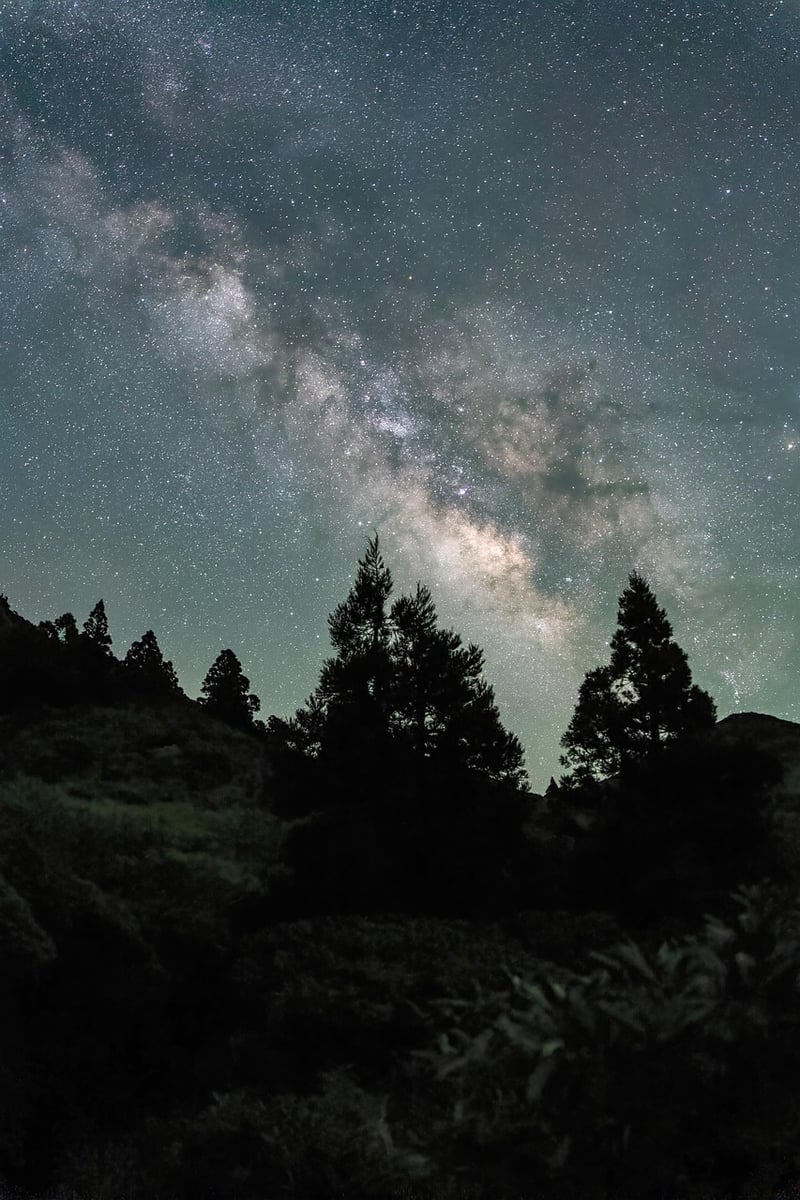 Galaxy Gala
